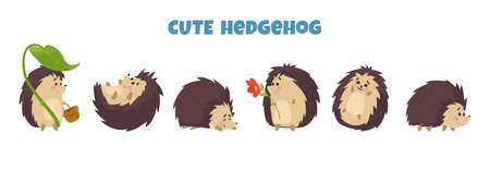 Cute hedgehog characters set for kids prints flat vector illustration isolated.のイラスト素材