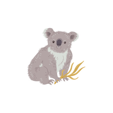 Australian koala bear rare animal character, flat vector illustration isolated.のイラスト素材