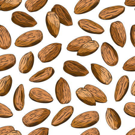 Almond nuts seamless pattern in colored sketch style, vector illustration on white background.のイラスト素材