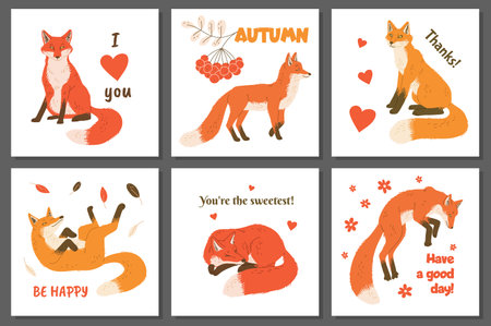 Set of postcards with funny foxes flat style, vector illustrationのイラスト素材