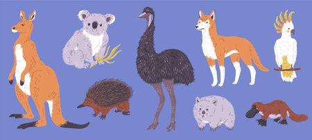Set of Australian wild animals, flat vector illustration isolated on blue background.のイラスト素材