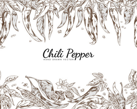 Chili pepper seamless border in hand drawn sketch style, vector illustration on white background.のイラスト素材