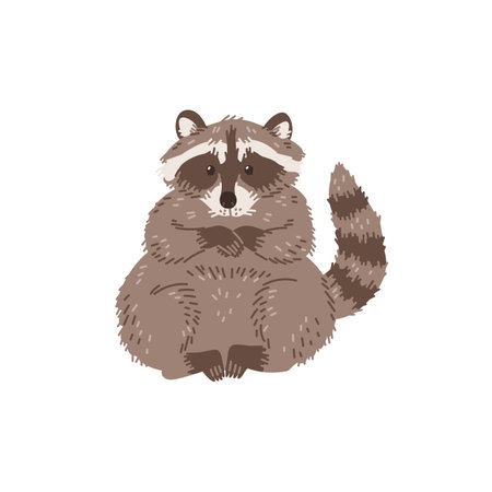 Raccoon american mammal cartoon character flat vector illustration isolated.のイラスト素材