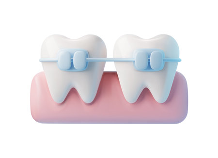 Teeth with a bracket frame realistic render icon vector illustration isolated.のイラスト素材