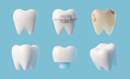 Set of various realistic teeth 3D style, vector illustrationのイラスト素材