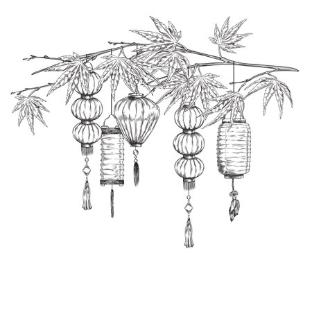 Engraved Asian lanterns with tassels on japanese maple branch, vector hand drawn different shapes of paper lampのイラスト素材