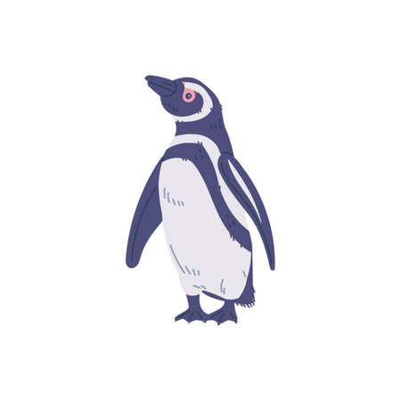 Penguin in flat style, vector cartoon illustration isolated on white.のイラスト素材