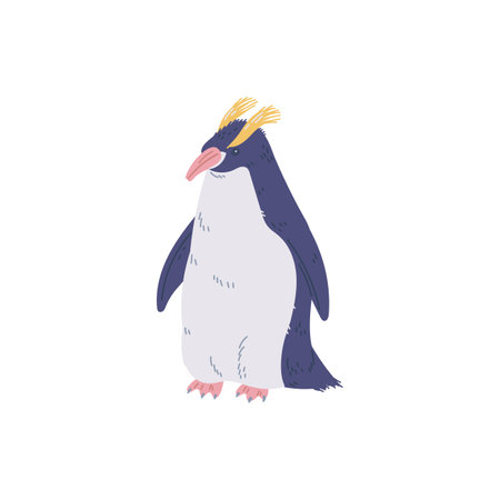 Penguin, vector flat cartoon illustration isolated on white.のイラスト素材