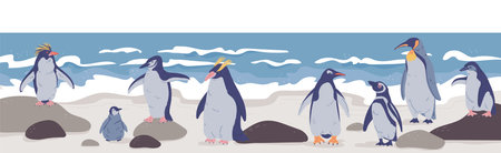 Family of penguins on the ocean shore, vector illustration.のイラスト素材