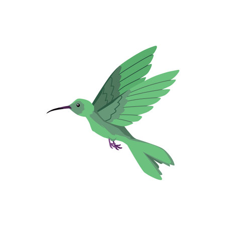 Flying hummingbird bird with long beak turquoise plumage, vector beautiful exotic small colibri wild bird tropical faunaのイラスト素材