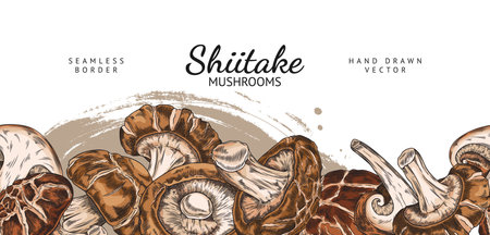 Seamless frame of shitake mushrooms in color in a banner with text area.のイラスト素材