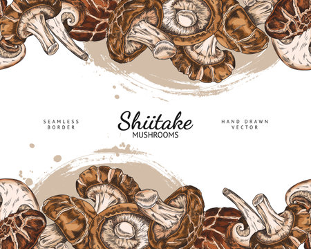 Vector border on the theme of Asian mushrooms with shiitake frame and text area.のイラスト素材