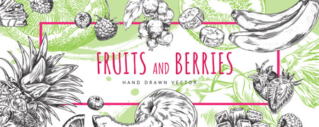 Hand drawn fruit and berry banner with space for text.のイラスト素材