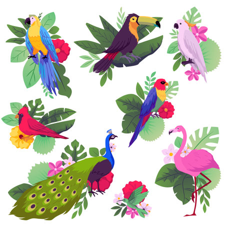 Tropical flora and fauna vector illustration paradise set, hummingbird, toucan, Ara parrot, flamingo and exotic flowersのイラスト素材