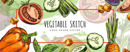 Dynamic vegetable sketch border vectorのイラスト素材