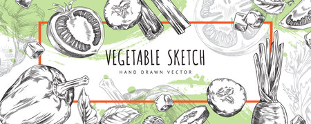 Farm vegetables, basil leaves vector engraved sketch square frame label design, hand drawn natural organic plant foodのイラスト素材