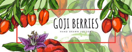 Banner with goji berries and flowers with text space for advertising design.のイラスト素材