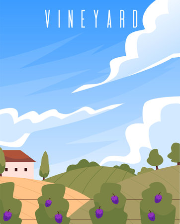 Vineyard view with text vector illustrationのイラスト素材