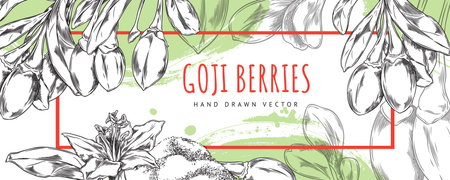 Horizontal seamless border with goji berries on a white backgroundのイラスト素材
