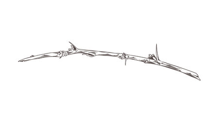 Vector graphics with twig with thin thorns and buds in a hand-drawn styleのイラスト素材