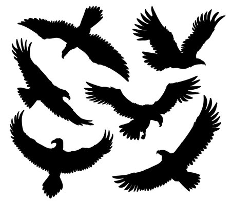Bald Eagle black silhouette vector icons set, American eagle wild bird of prey soaring, falcon or hawk animal flightsのイラスト素材