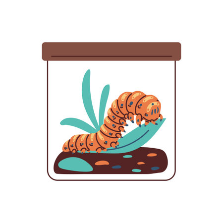 Cartoon caterpillar in glass container with lid and plant, vector cute worm insect doodle drawn exotic pet in terrariumのイラスト素材