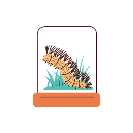 Cartoon fluffy caterpillar in glass container with plant, vector cute worm insect doodle drawn exotic pet in terrariumのイラスト素材