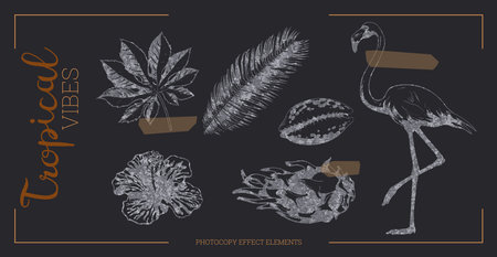 Tropical flowers and flamingo with photocopy effect.のイラスト素材