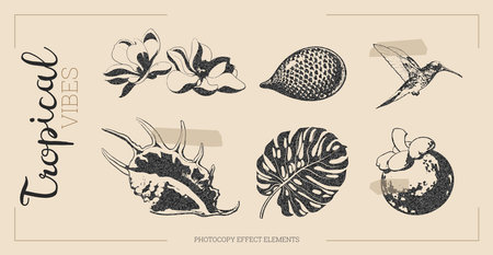 Tropical flowers vector with halftone effect.のイラスト素材