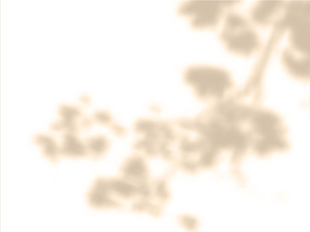Vector illustration of a wall background with a blurred shadow of a tree branch with leaves.のイラスト素材