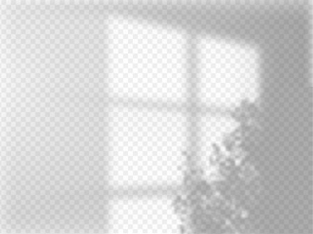 Shadow on wall, blurred soft shadow from the window and tree leaves from outside, vector transparent background mockupのイラスト素材