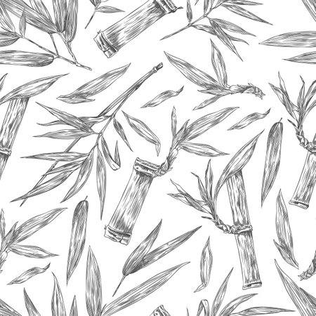 Seamless pattern with Bamboo plant vector engraved sketch, stalk piece and branch with leaves, tropical forest foliageのイラスト素材