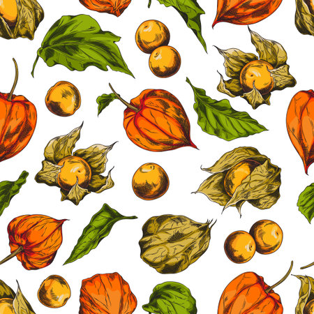 Vector seamless pattern with fruits, leaves of physalis, berries covered with a shell of sepalsのイラスト素材