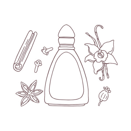 Vector contour illustration with a perfume icon surrounded by spices: cardamom, cinnamon, cloves and vanilla.のイラスト素材