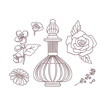 Vector illustration depicting a set of outline sketches of perfume bottle and flower ingredients.のイラスト素材