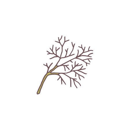 Vector graphics in the form of a twig, made in a hand-drawn styleのイラスト素材
