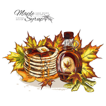 Vector with a bottle of maple syrup with a label, pancakes and melted butter.のイラスト素材