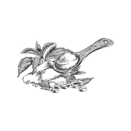 Stevia leaves, wooden spoon with sweet powder and pills engraved sketch, vector organic sweetener, natural superfoodのイラスト素材