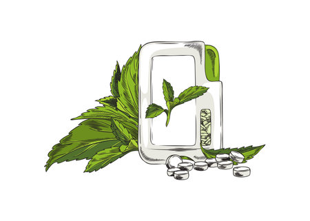 Stevia sweet pills box package with leaves sketch, vector natural organic sweetener plant, sugar alternative superfoodのイラスト素材