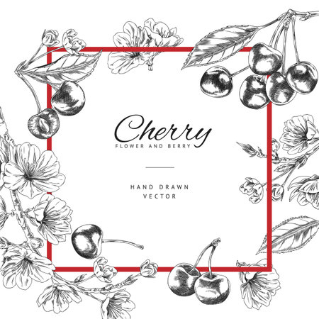 Cherry berries, leaves and flowers engraved sketch label design with red square, lettering, vector hand drawn farm fruitのイラスト素材