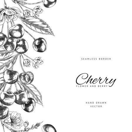 Cherry berries, leaves and flowers engraved sketch seamless border design, vector hand drawn summer fruit, farm harvestのイラスト素材