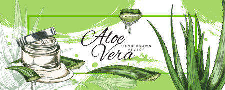 Vector poster with aloe vera, prickly leaves and gel in a jar, in the style of a contour sketchのイラスト素材