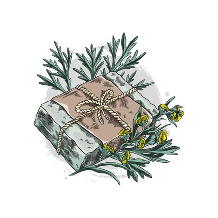 Vector illustration of a piece of natural green soap with wormwood twigs and flowers.のイラスト素材