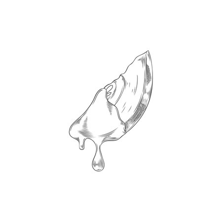Fondue. Monochrome sketch of apple slice in chocolate.のイラスト素材