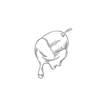 Vector sketch of grapes in hot chocolate fondue. Vintage engraved hand drawn illustration.のイラスト素材