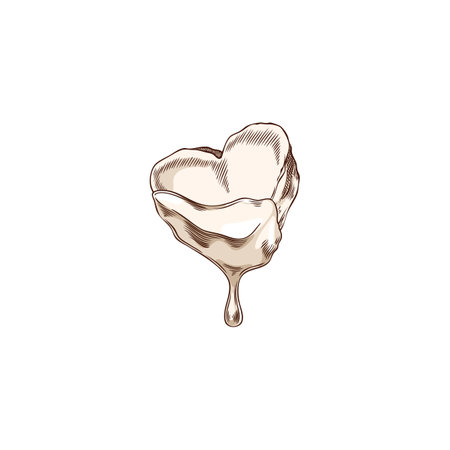 Heart shaped marshmallow outline sketch vector in melted white chocolate.のイラスト素材