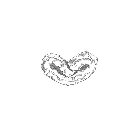 Palmier biscuits sketch. Black and white vector of French puff pastry dessert.のイラスト素材