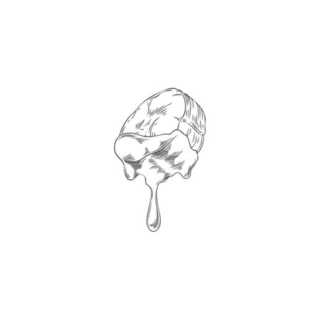 Slice of banana in melted chocolate hand drawn engraved vector, fondue sketch, tropical fruit piece in dripping cheeseのイラスト素材