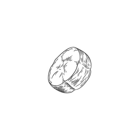 Vector monochrome illustration of hand drawn round banana slice sketch.のイラスト素材