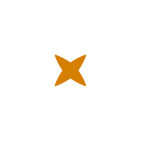 Four pointed star Y2K aesthetic vector icon, orange star flare silhouette, sparkle glitter Boho symbol, cross shapeのイラスト素材